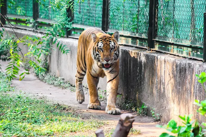 TSarthana Nature Park